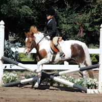 Shadow Hills Riding School logo